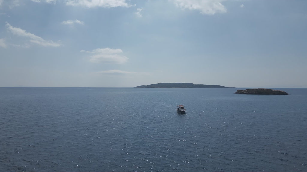 Τσάντα tote με τετράγωνες λαβές, Draco